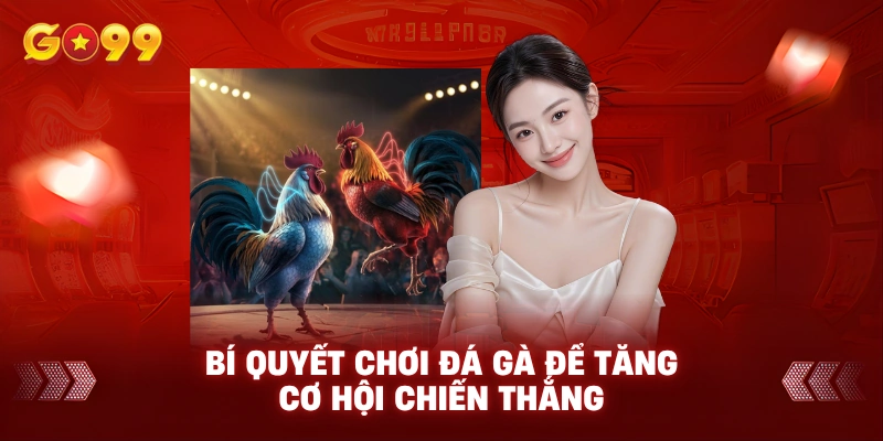 Bí Quyết chơi Đá Gà Để Tăng Cơ Hội Chiến Thắng